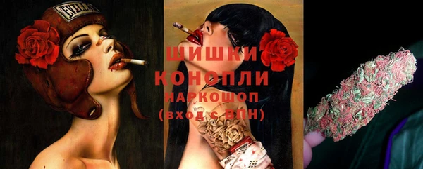 винт Липки