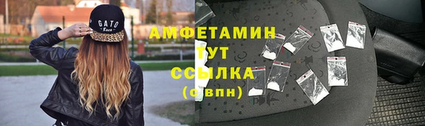 мдпв Магас