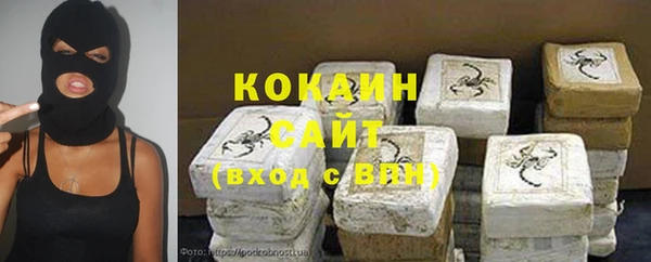 мдпв Магас