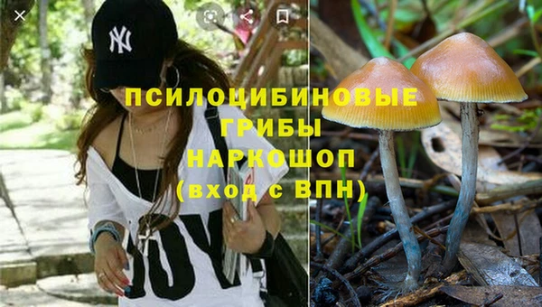 мдпв Магас