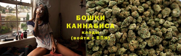 мдпв Магас