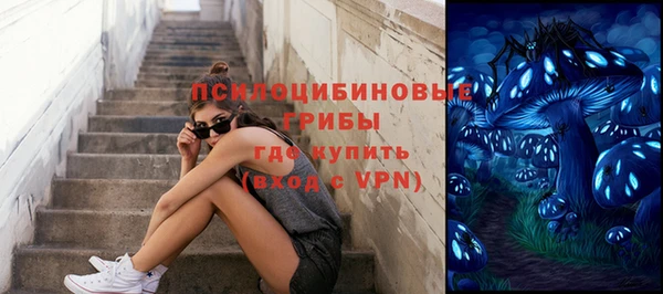 ПСИЛОЦИБИНОВЫЕ ГРИБЫ Майский