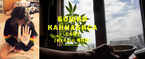 винт Липки