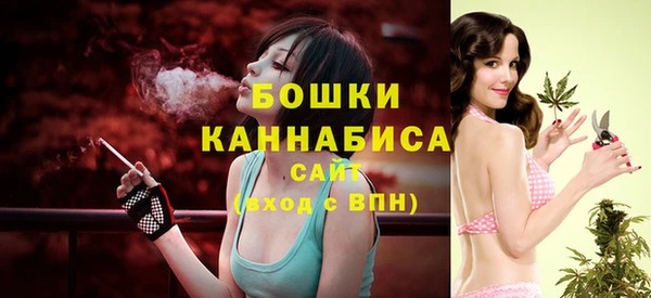 ПСИЛОЦИБИНОВЫЕ ГРИБЫ Майский